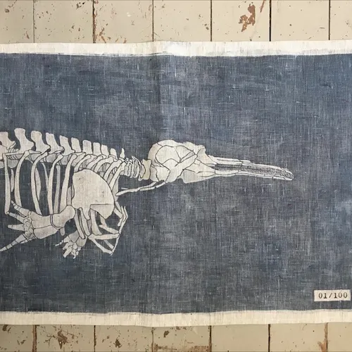 A photo of a Franciscana dolphin skeleton that has been dyed onto linen using the katazome technique.